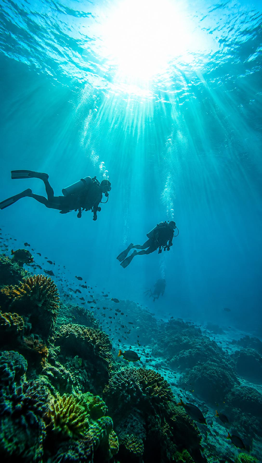 Buzos sobre un arrecife en Koh Tao, Tailandia